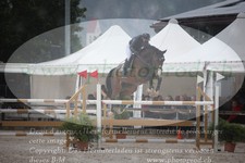 ref. photo 3232150