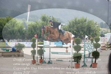 ref. photo 3232220