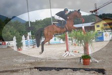 ref. photo 3232452