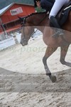 ref. photo 3232488