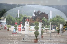 ref. photo 3232508