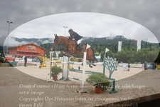 ref. photo 3232532
