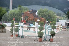 ref. photo 3232539