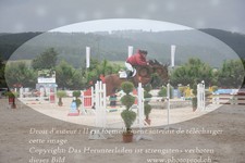 ref. photo 3232599