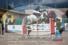 ref. photo 3232651