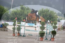 ref. photo 3232657