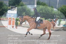 ref. photo 3232658