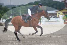 ref. photo 3232717