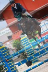 ref. photo 3232829