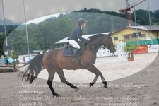 ref. photo 3232912