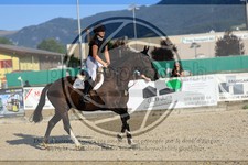 ref. photo 3694737