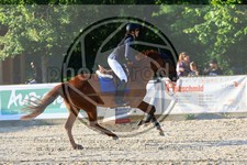 ref. photo 3694853
