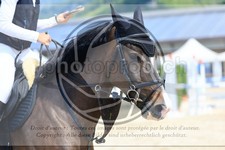 ref. photo 3694960