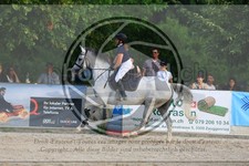 ref. photo 3695006