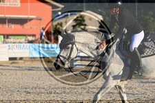 ref. photo 3695017