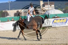 ref. photo 3695064