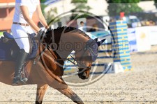 ref. photo 3695065