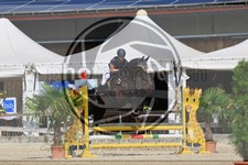 ref. photo 3695103