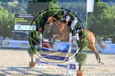 ref. photo 3695301