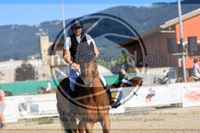 ref. photo 3695309