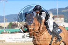 ref. photo 3695312