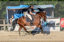 ref. photo 3695319
