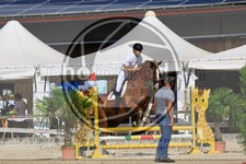 ref. photo 3695352