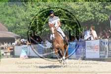 ref. photo 3695354