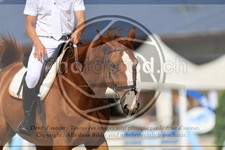 ref. photo 3695356