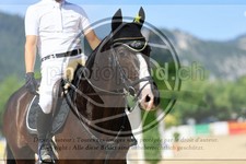 ref. photo 3695365