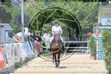 ref. photo 3695433