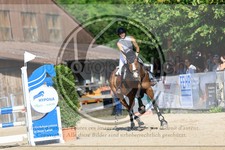 ref. photo 3695603