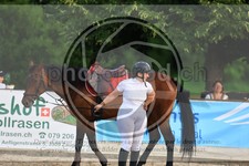 ref. photo 3695824