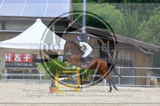 ref. photo 3696000