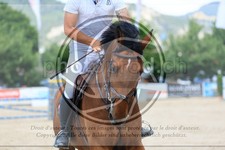 ref. photo 3696002