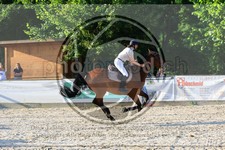 ref. photo 3696010