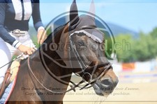 ref. photo 3696024