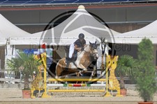 ref. photo 3696096