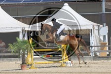 ref. photo 3696245