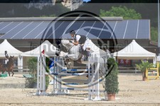 ref. photo 3696276