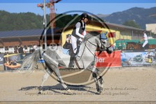 ref. photo 3696297