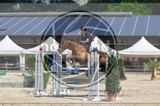 ref. photo 3696304