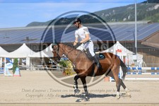 ref. photo 3696335