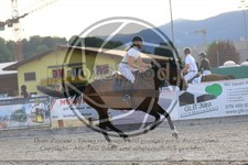 ref. photo 3696351