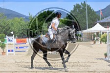 ref. photo 3696383