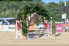 ref. photo 3696385