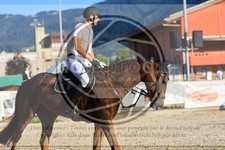 ref. photo 3696456