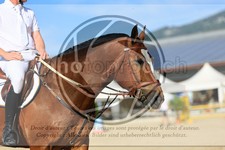 ref. photo 3696547