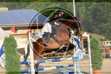 ref. photo 3696555