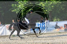 ref. photo 3696625